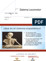 06-Semana - Diapositivas - Diciembre 2020 - Marzo 2021