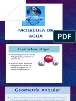 Molecula Del Agua Quimica