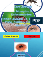 Taller Control Aedes Aegypti