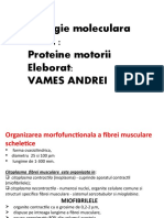 Fibre Musc - Biol.molec.