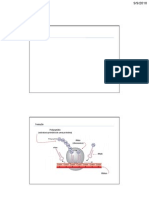 4ª Aula de Genética