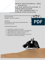 Principios-Del Procedimiento-Administrativo-Contencioso