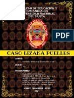 Caso Lizana Puelles 