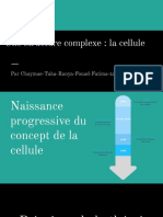 Projet Scientifique