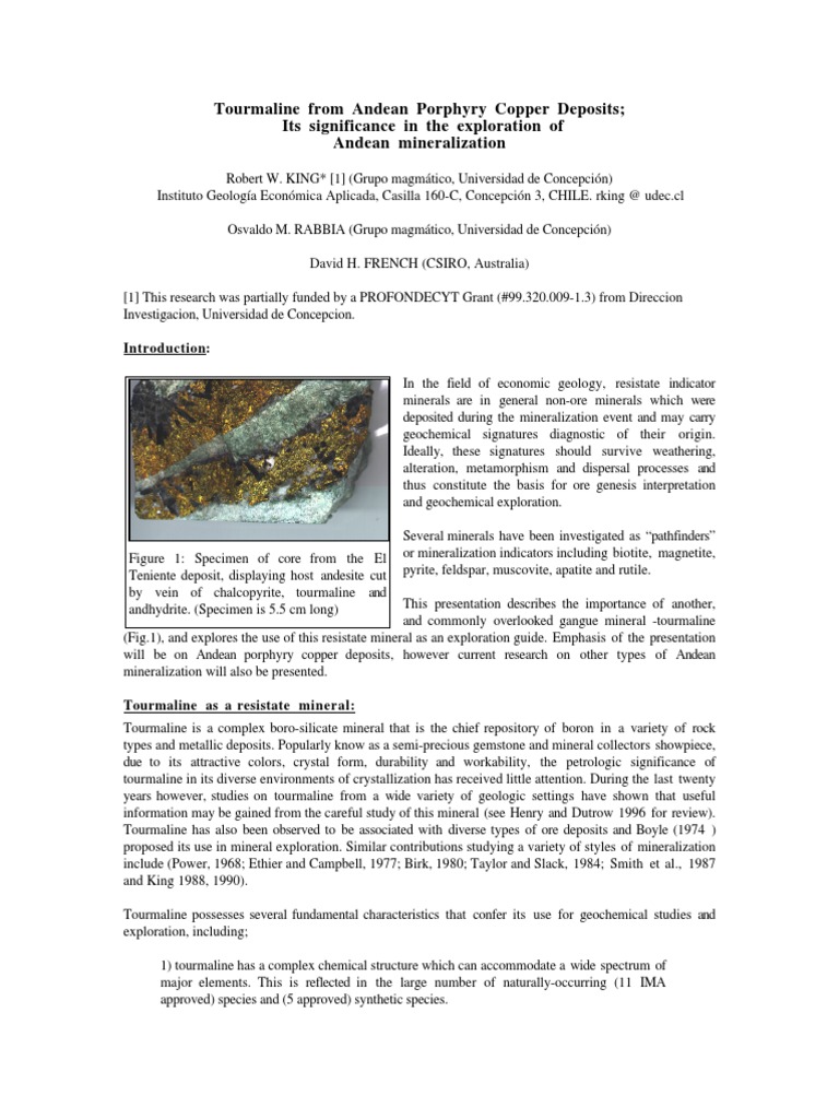 Tourmaline as a Resistate in Copper Deposits | PDF | Minerals ...