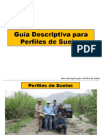 GuíaDescriptiva_PerfilesSuelos