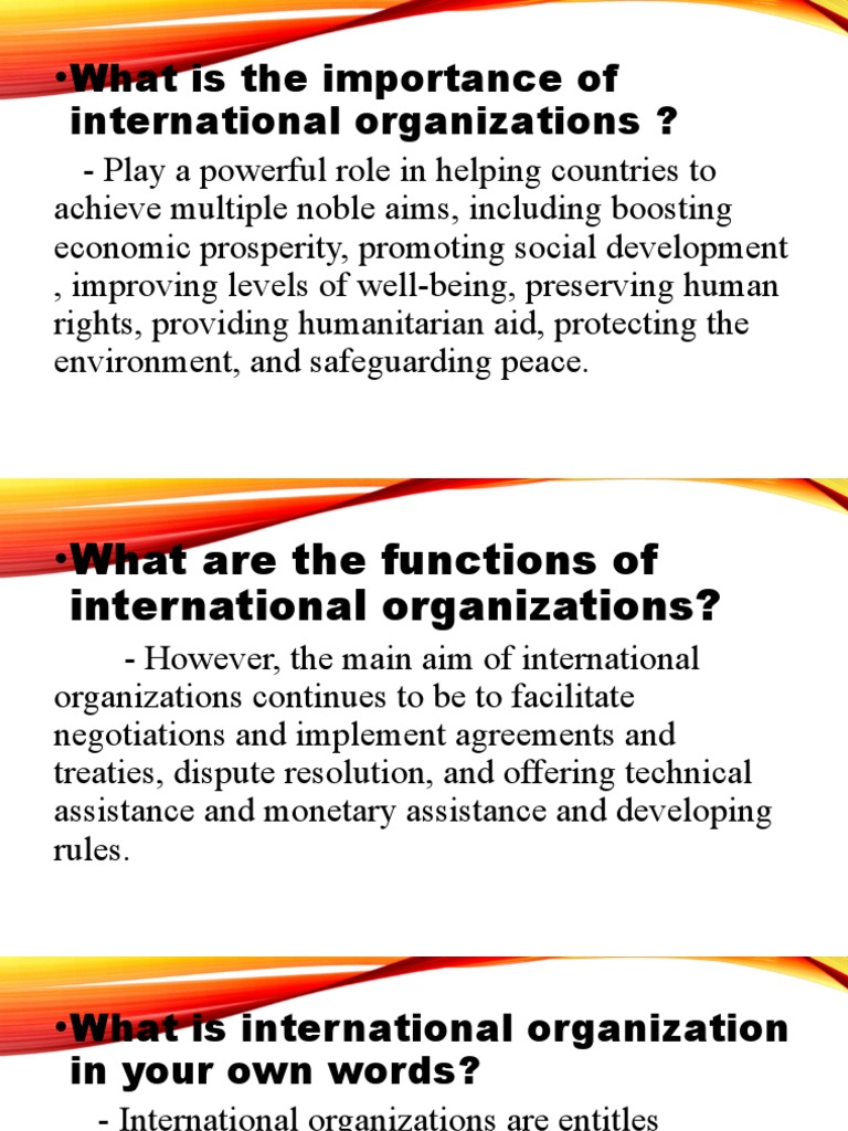 Importance and Functions of International Organizations | PDF
