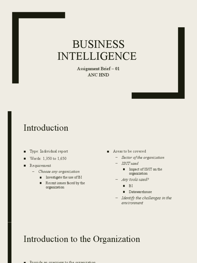 business intelligence assignment pdf