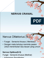 Cranial Nerve Examination