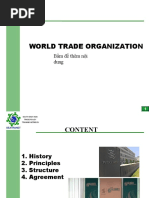 Lecture 4 - WTO