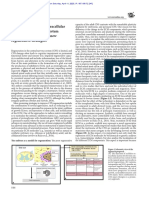 Analyzing The Role of Extracellular Matrix During Nervous System Development To Advance New Regenerative Strategies