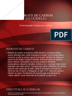 Hidratii de Carbon Copie 2