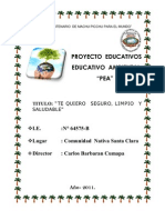 Proyecto Educativo Ambiental Institucional