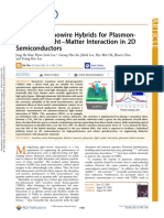 Dielectric Nanowire Hybrids For Plasmon-Enhanced Light-Matter Interaction in 2D Semiconductors