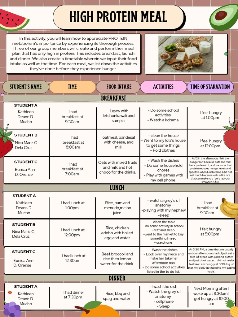 High Protein Meal | PDF