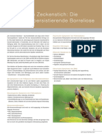 Borreliose Info Aerzte