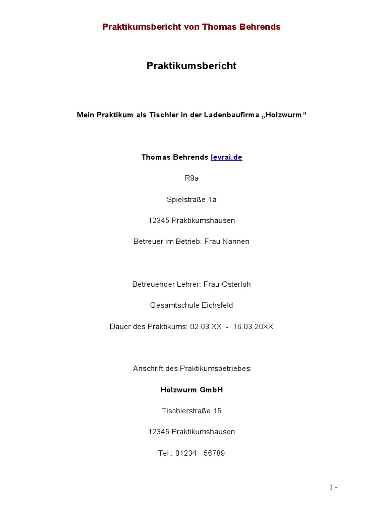 Beispiel Praktikumsbericht | PDF