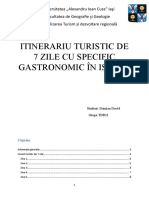 Proiect circuit turistic Damian David TDR11