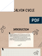 The Calvin Cycle