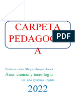 Carpeta Pedagogica