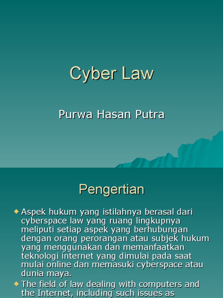 Cyber Law | PDF
