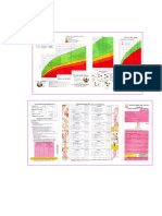 Rotafolio Desnutricion- Janet Chilon