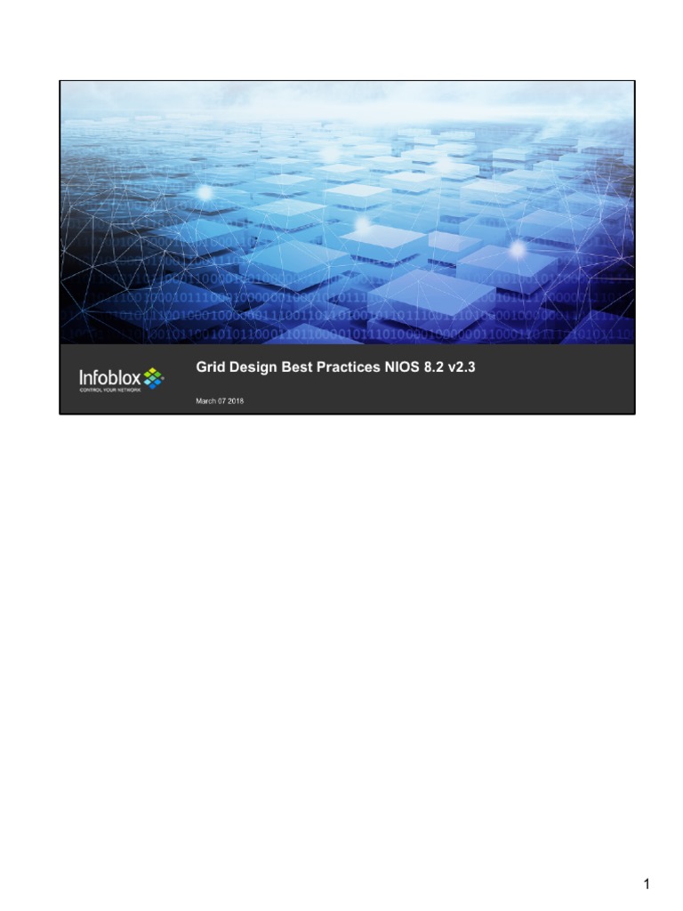 DDI Grid Best Practices 8.2v2.3 PDF Domain Name System I Pv6