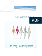 Worksheet 4 - Body's Control System