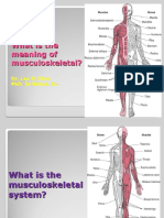 Musculoskeletal Definition