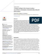 Context Coding in The Mouse Nucleus Accumbens Modulates Motivationally Relevant Information