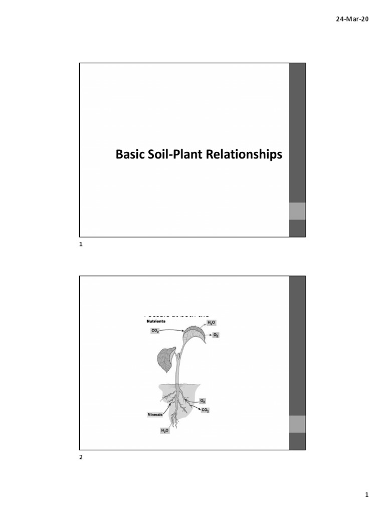 Understanding the dynamic process of soil plant nutrient interactions
