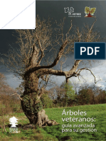 Arboles Veteranos