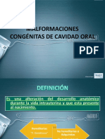 idoc.pub_malformaciones-congenitas-de-cavidad-oralpptx