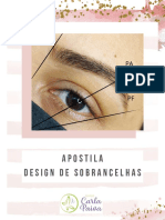 Apostila+Deisgn+de+Sobrancelhas+Prof +Carla+Paiva Compressed