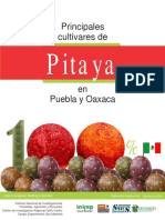 Cultivares_de_Pitaya_en_Puebla_y_Oaxaca