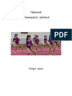 Optional Gimnastica Artistica Grupa Mare