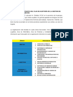 Plan de Auditoría de La Gestion de Sistemas de Informacion