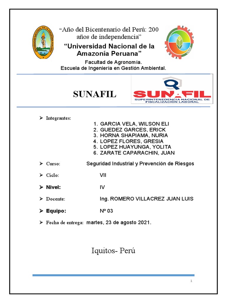 Misión y Funciones de SUNAFIL en Perú | PDF | Ministerio (Departamento ...