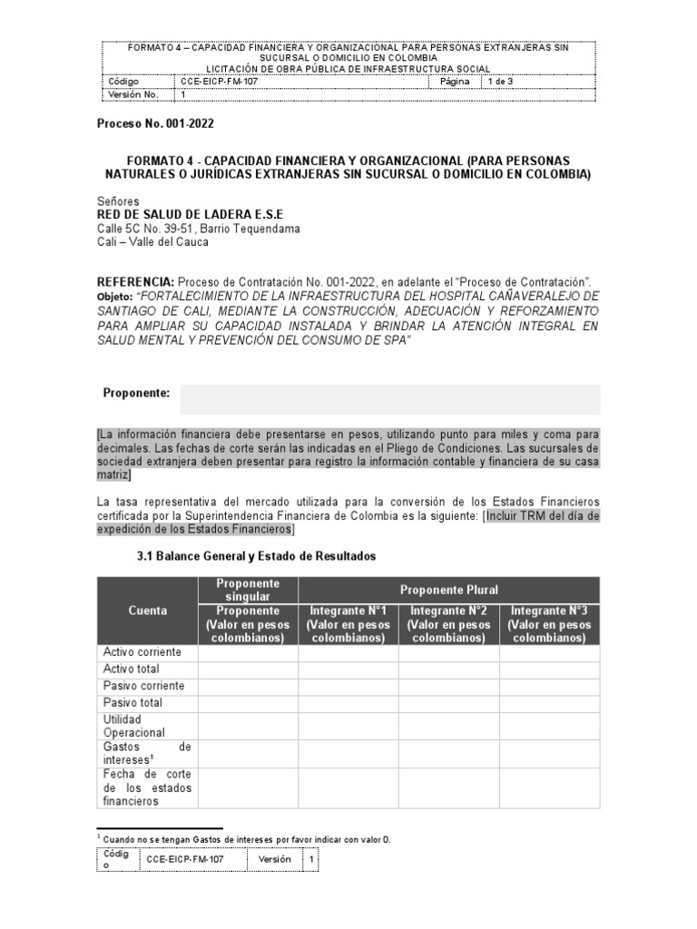Formato 4 capacidad financiera y organizacional extranjeros cce eicp