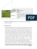 N°2 Informe Corregido Dallis
