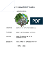 INFORME PRELIMINAR SOBRE UN ESTUDIO DE IMPACTO AMBIENTAL - Saneamiento