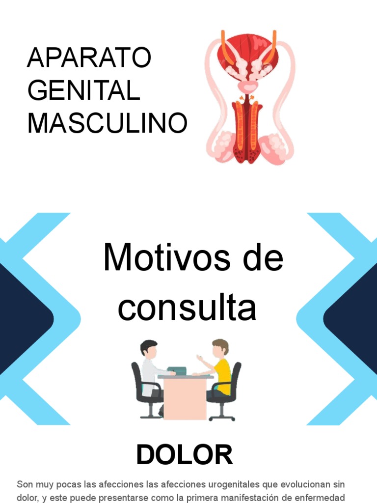 aparato-genital-masculino-pdf-vejiga-urinaria-micci-n