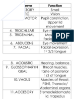 Cranial Nerve