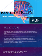 Neuro Plasticity
