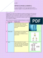 Conceptos Clave de La Genética