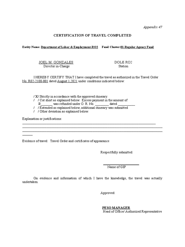 certificate-of-travel-completed-pdf