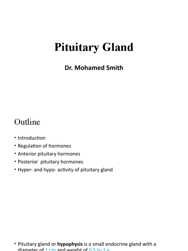 Pituitary Gland | PDF | Pituitary Gland | Human Anatomy