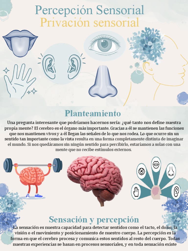 Exposicion Privacion Sensorial Equipo 4 653 | PDF | Percepción ...