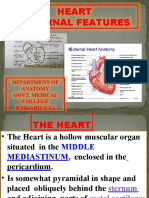 Anatomy of External Features of Heart