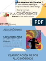 3.3.3 Alucinógenos